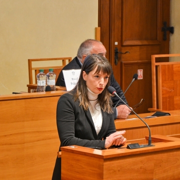„Pestrost, jinakost, předsudky a strachy“ – Senátní konference řešila téma rasismu a lidských práv