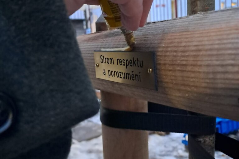 WhatsApp Image 2026-01-16 at 17.41.46 (2)