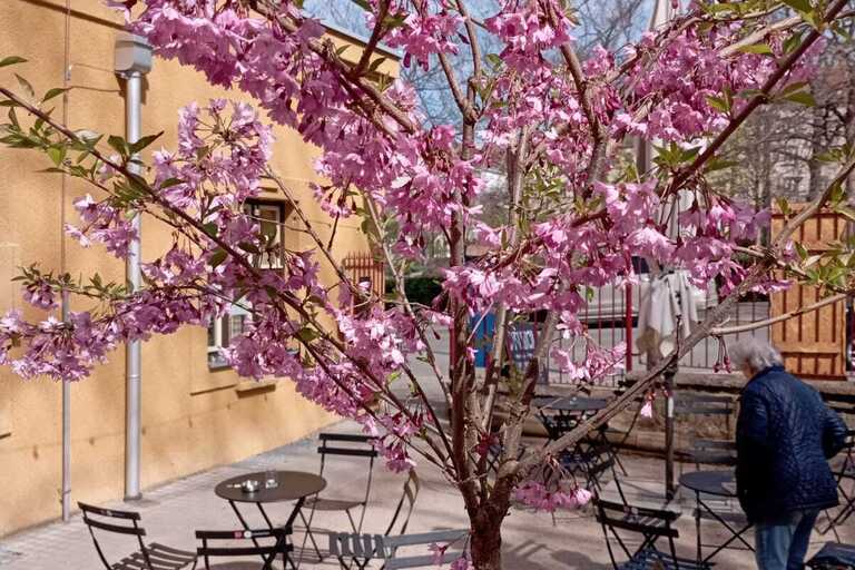 WhatsApp Image 2026-04-15 at 15.31.25